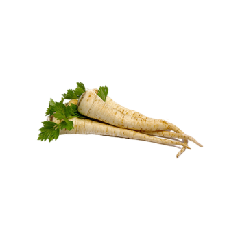 Parsley root