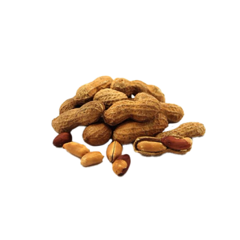 Roasted peanuts in the shell