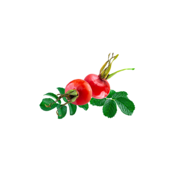 Rosehip