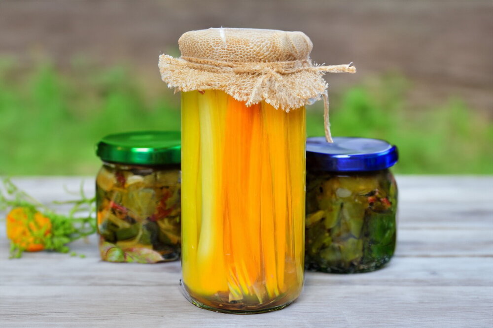 Swiss Chard for Winter