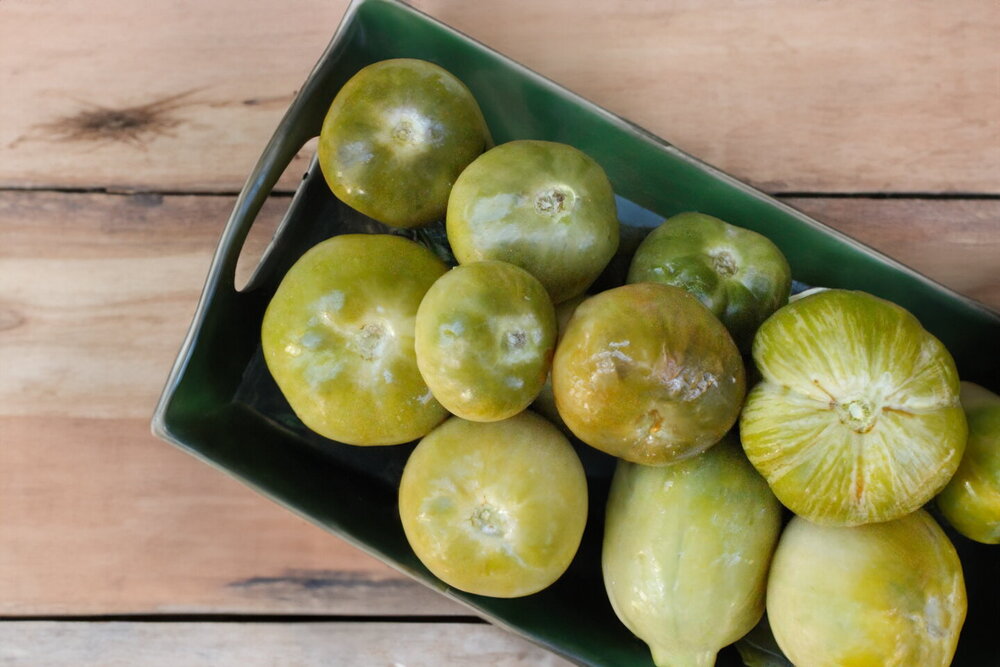 Oak-Barrel Fermented Green Tomatoes for Winter