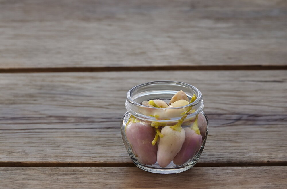 No-Sterilization Pickled Hot Peppers for Winter