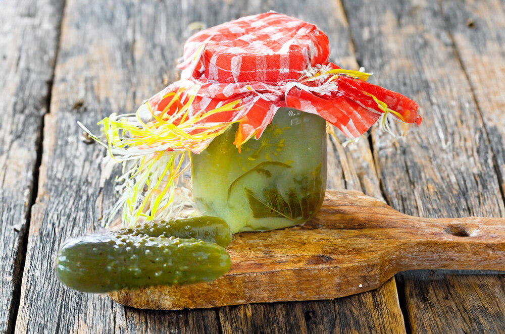 Barrel-Style Salted Cucumbers with Mustard in Jars for Winter