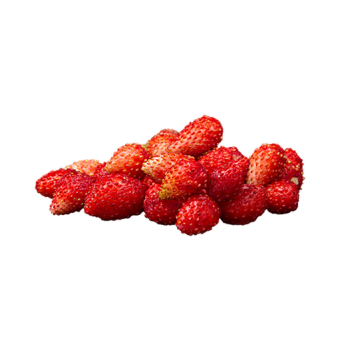 Wild strawberry