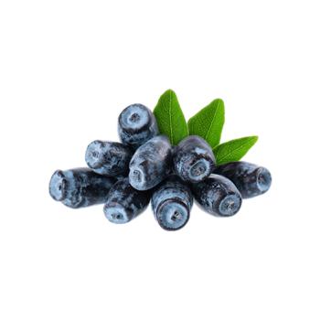 Honeysuckle