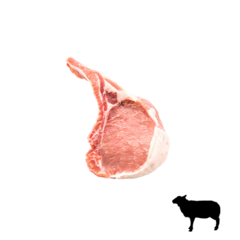 Lamb