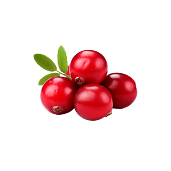 Cranberry