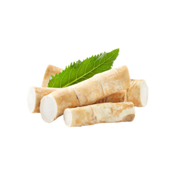 Horseradish root