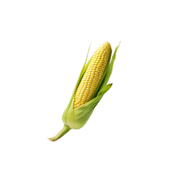 Corn
