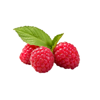 Raspberry