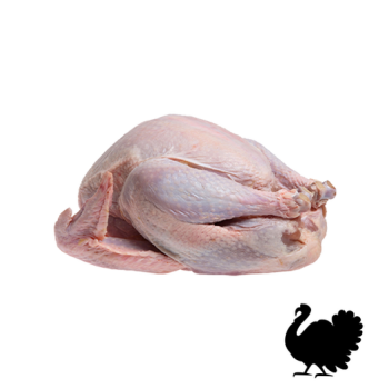 Turkey