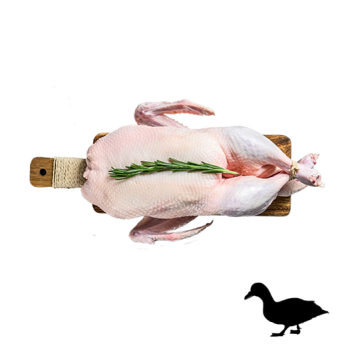 Goose