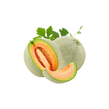 Melon