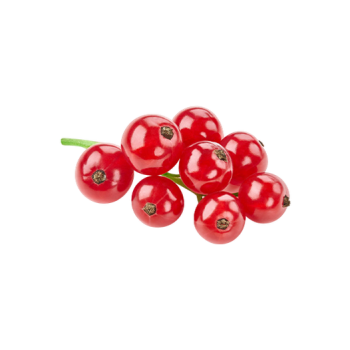 Red currant