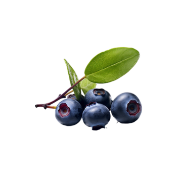 Blueberry