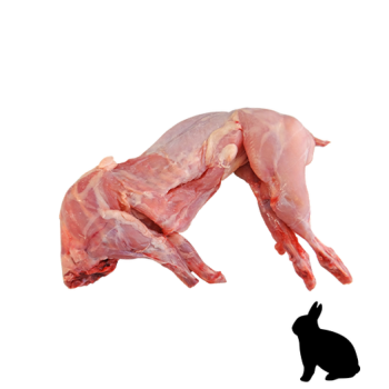 Rabbit