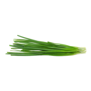 Chives