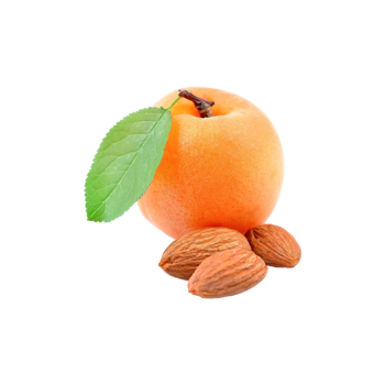 Apricot kernel