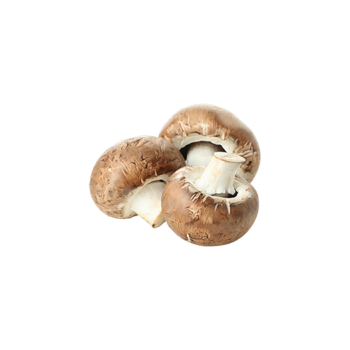 Champignon