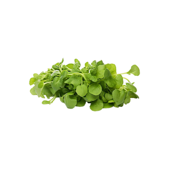 Watercress