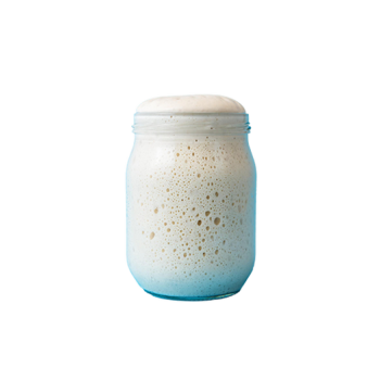 Ready-made sourdough starter