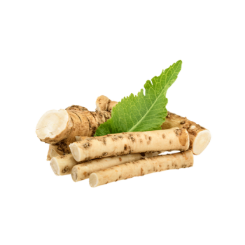 Horseradish
