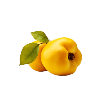 Quince