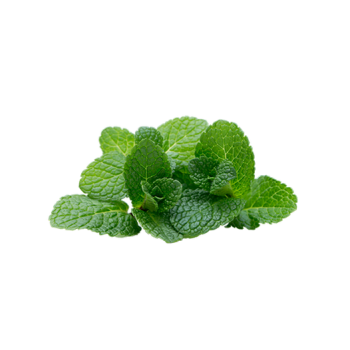 Mint