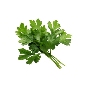 Parsley