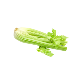 Celery