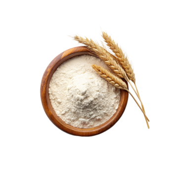 All-purpose whole wheat flour