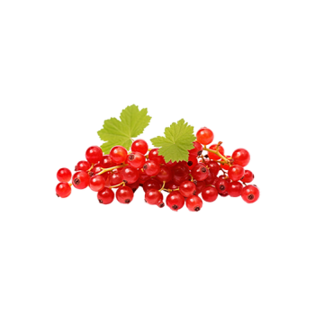 Redcurrants