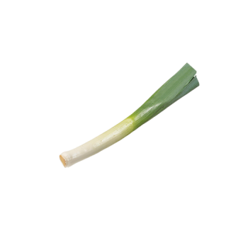 Leek