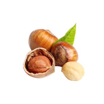 Hazelnuts