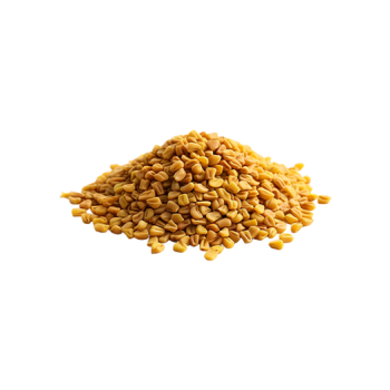 Fenugreek