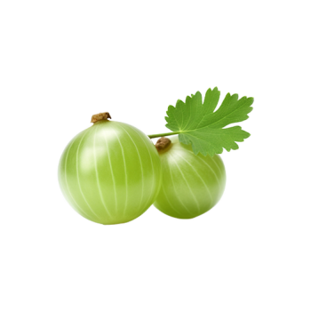 Gooseberry