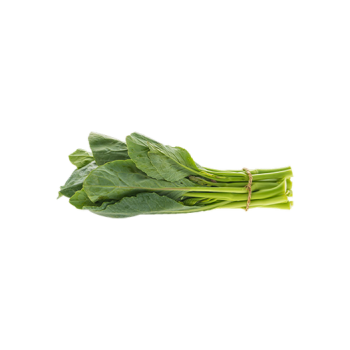 Sorrel