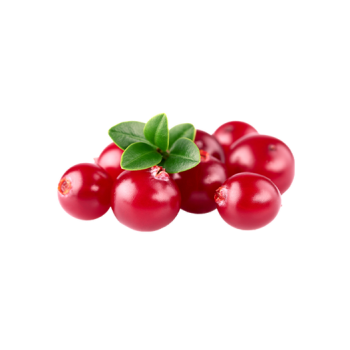 Lingonberry