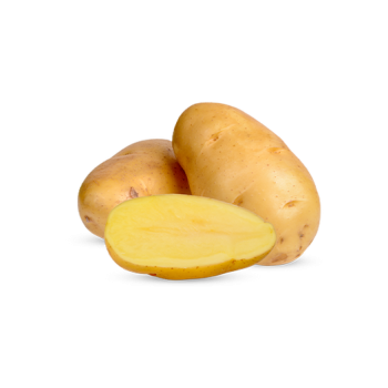 Potato