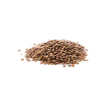 Lentils
