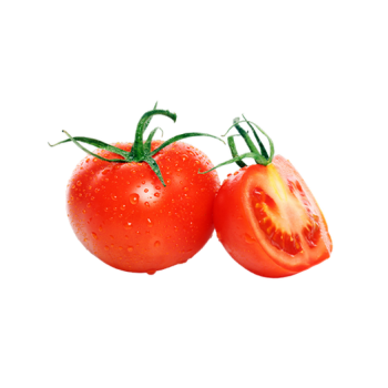 Tomato