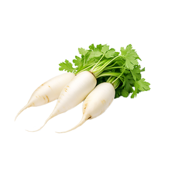 Daikon
