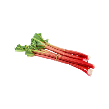 Rhubarb