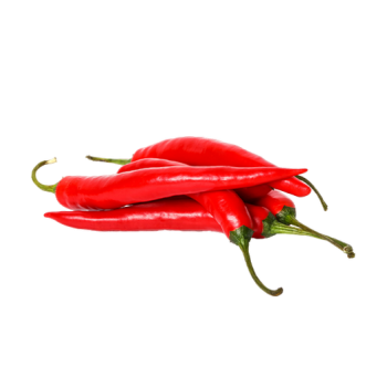 Hot chili pepper