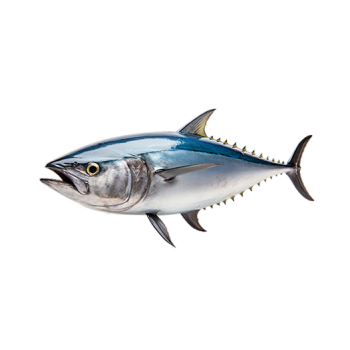 Tuna
