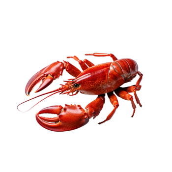 Lobsters