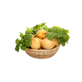 Rutabaga