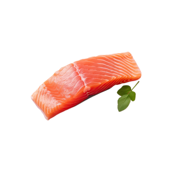 Salmon fish