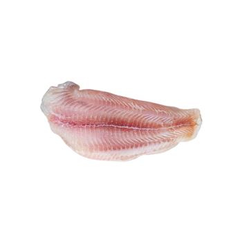 Pangasius