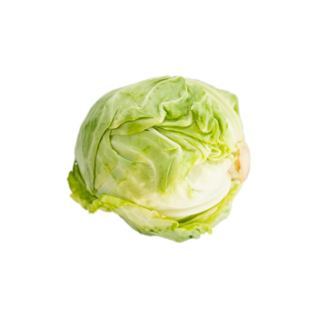 Young cabbage